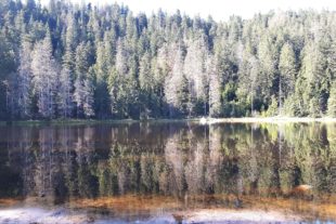 2021-10-13-NO-Angelika Kälble-Alpenverein NO- Nationalpark-20211010_133041