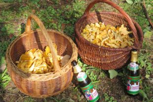 2021-10-15-BI-Kp-Schwarzwaldverein-IMG_6825