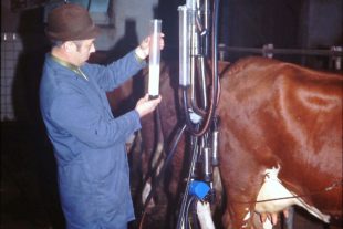 2021-10-22-ZE-UE- LKVBW- MLP_Trutest