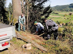 Schwarzwaldverein im Einsatz für freie Wege und neue Bänke