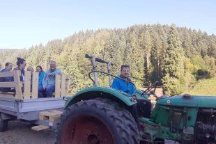 2021-10-4-ZE-NO-Tourist-Info-Dorfurlaub-Ab in den Wald - rustikal und authentisch