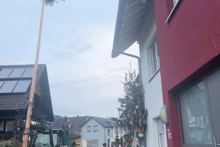 2021-10-6-BI-Helmut Christ-Oktober Maibaum für Mona Eble mit traktor
