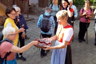 2021-10-8-NO-Tourist-Info-Moospfaffwanderung-Haashof-20211001_150945