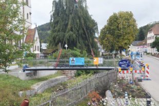 2021-10-8-NO-hv-Brücke-DSC_0021