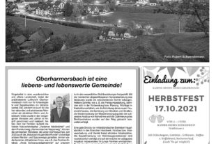 Lokal_x-x-11_Beil-X1.qxp