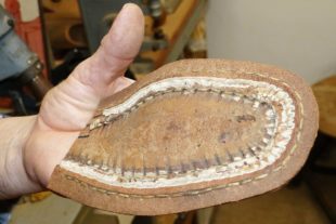 2021-11-17-BI-bia-Ketterhaus-Werner Benz-SP zweifach genähte Brandsohle