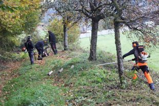 2021-11-19-OH-Judith Uhl-Kindergarten Naturgruppe-IMG_9651