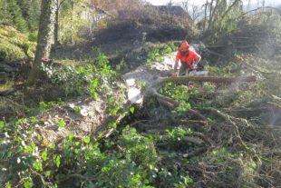 2021-11-22-OH-ga-Landschaftspflegetag-IMG_6764