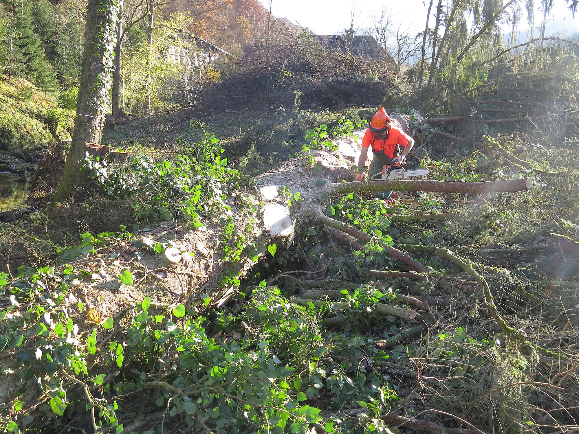 2021-11-22-OH-ga-Landschaftspflegetag-IMG_6764