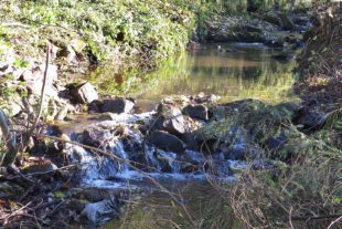 2021-11-22-OH-ga-Landschaftspflegetag-IMG_6769