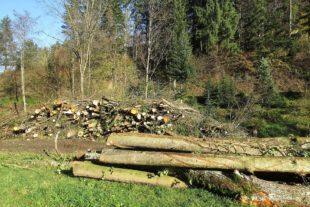 2021-11-22-OH-ga-Landschaftspflegetag-IMG_6771