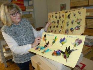 Einst Jagdtrophäe, jetzt Janet Jackson