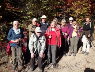 Unterwegs im goldenen Oktober