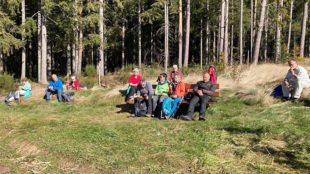Wandern auf naturnahen Pfaden durch Wälder und Wiesen
