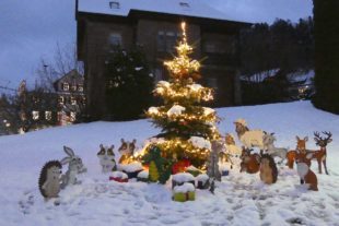 2021-12-1-NO-Touristen-Information-Nordi-u-Freunde unter Tannenbaum