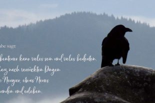 Der_Geroldsecker_Burggeist_Innenteil.indd