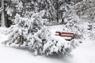 2022-1-14-OH-Robert Schwendemann-Winter-226A0001_k