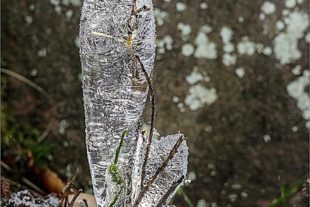 2022-1-14-OH-Robert Schwendemann-Winter-226A0010-HDRK