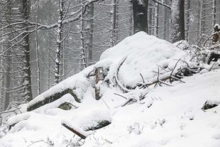 2022-1-14-OH-Robert Schwendemann-Winter-226A0015_k