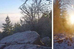 2022-1-19-NO-hv-Nordracher Lichtblicke-DSC