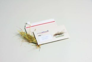 2022-1-24-BI-Unternehmen-Pohl-Scandia_PR-01-22-GrassGreen_Fixcoll-BU_03_k