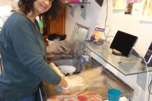 2022-1-31-BI-bia-Handwerk Filzen-Gwendolyn Hättig-und-Hättig-und-Wolle