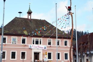 2022-2-11-ZE-UH-hps-Eckwaldhexen Narrenbaum-DSC_3359 2