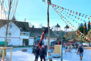 2022-2-11-ZE-UH-privat-Eckwaldhexen-Narrenbaumstellen-IMG_0374