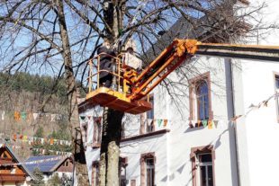 2022-2-14-OH-Bärenzunft-Fähnle aufhängen-20220213_080320