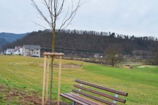 2022-2-4-ZE-UE-hps-Ortschaftsrat-Sitzbank-DSC_3302 2