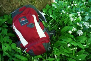 2022-3-18-OH-Tourist Info- Bärlauch-Genuss in Oberharmersbach