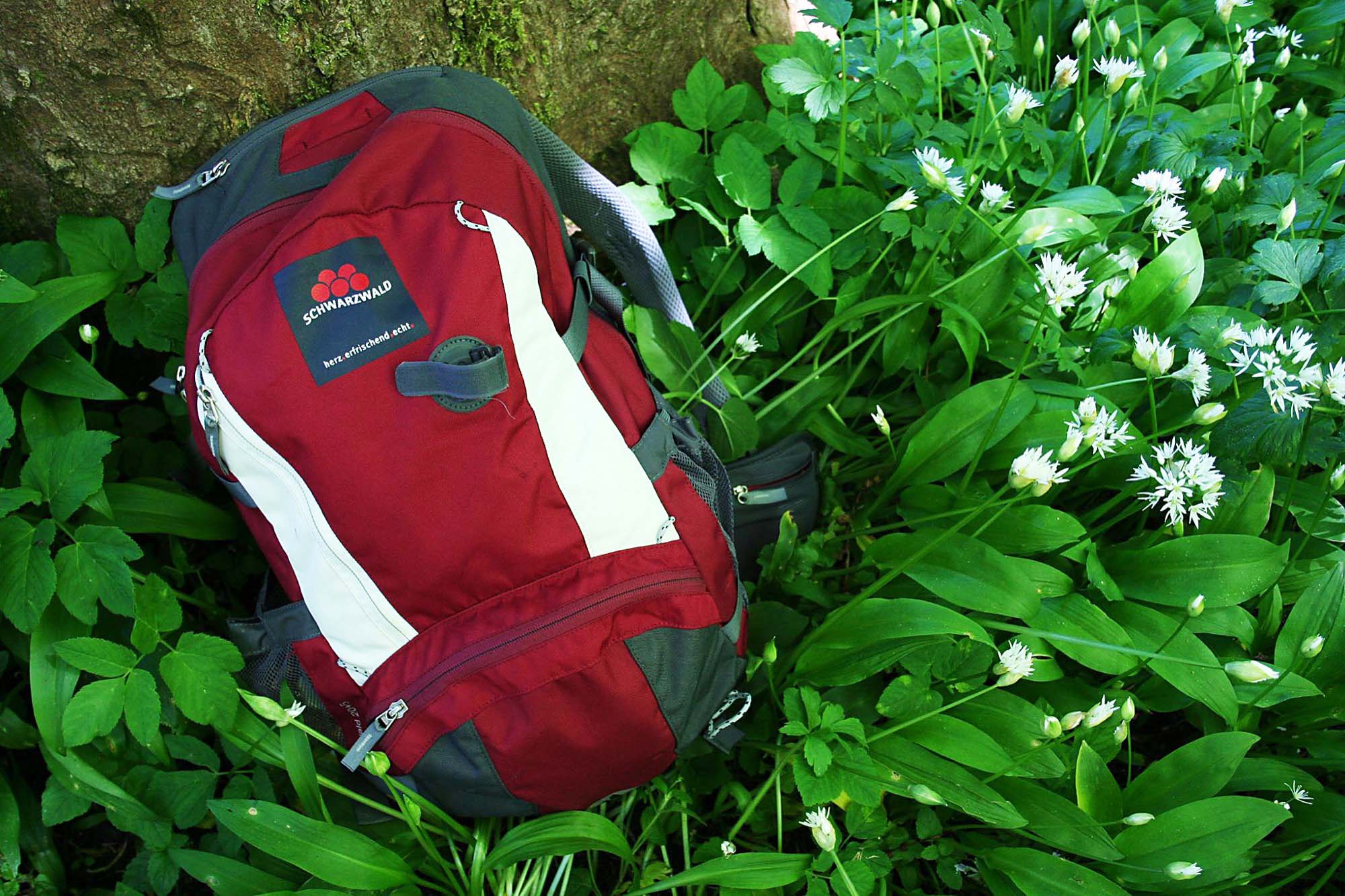 2022-3-18-OH-Tourist Info- Bärlauch-Genuss in Oberharmersbach