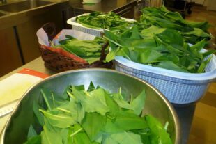 2022-3-18-OH-Tourist Info- Bärlauch-Kochworkshop in der Linde in Oberharmersbach