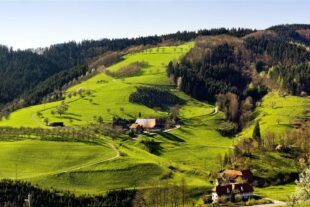 2022-3-18-OH-Tourist Info- Die Bärlauch-Genuss-Wochen laden im Frühjahr zum Genießen in Oberharmersbach ein