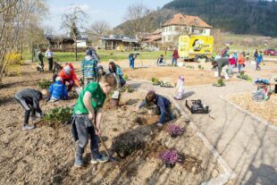 2022-3-25-BI-privat-Bienengarten Pflanzaktion-image002