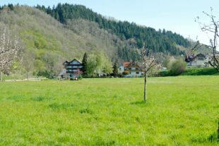 2021-4-27-OH-vo-Ballmatte DSCF8206_1