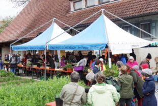 2022-4-12-ZE-UE- Hanni Schaeffer-Pflanzentauschfest-PTF 2019 bei Rebers