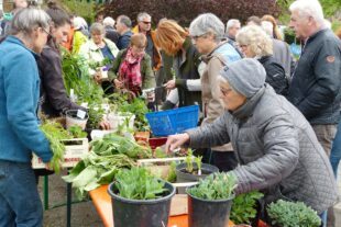 2022-4-12-ZE-UE- Hanni Schaeffer-PflanzentauschfestPTF2019-Nahaufnahme