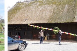 2022-4-12-ZE-UH-hpw-Palmenweihe-DSC06189collage