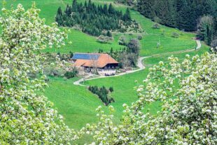 2022-4-20-OH-Robert Schwendemann-Frühling-DSC03703-HDR