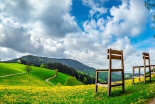 2022-4-29-OH-Tourist-Info-Wanderopening-Große-Stühle-auf-dem-Harmersbacher-Vesperweg-beim-Harkhof (c) Ferienlandschaft Mittlerer Schwarzwald
