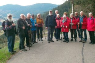 2022-4-8-NO-DAV-Seniorenwanderung-Schwarzwaldsteig im Renchtal-SAM_2444