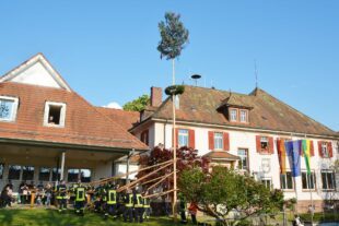 2022-5-2-ZE-UE-hps-Maibaumstellen Unterentersbach-DSC_4747 2