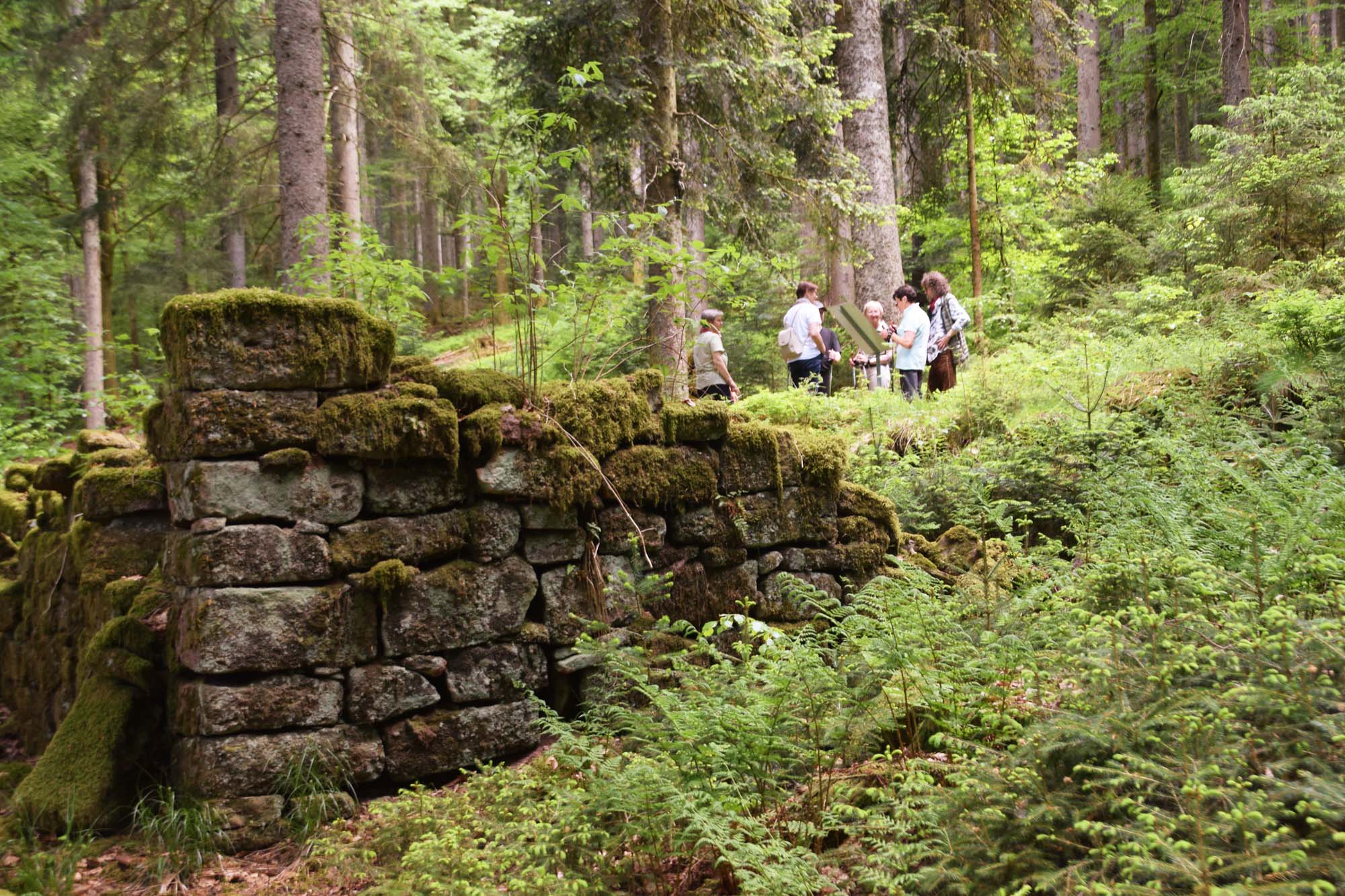 2022-5-20-NO-hv-Hist Verein Höhenhöfe-DSC_0586