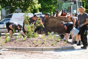 Wie die Stadt Zell mit pflegeleichten Staudenpflanzungen einen Mehrwert schafft