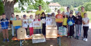 Honigbienen und Schmetterlingen auf der Spur