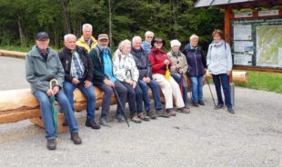 Senioren des Schwarzwaldvereins wanderten zur Gutmann-Strauße