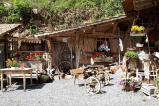 2022-6-13-NO-DAV- Wanderung Ruhlsbachschöpfle 20220601_153138(0)