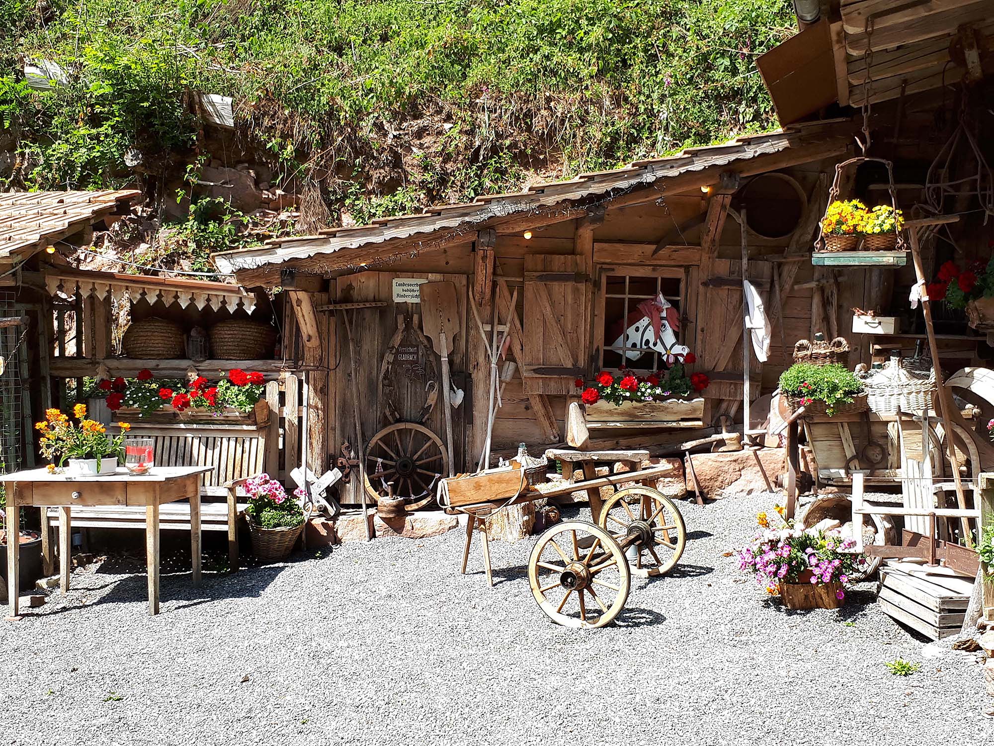 2022-6-13-NO-DAV- Wanderung Ruhlsbachschöpfle 20220601_153138(0)