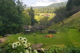 2022-6-14-NO-bia-Holzhackhof-und-Grillplatz